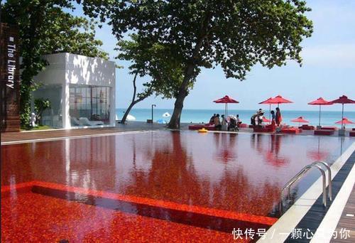 世界上那些不可思议的游泳池.有些泳池需要真正的勇气才能去