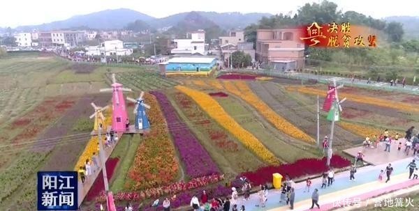 阳春高村：基地加旅游 古村换新颜