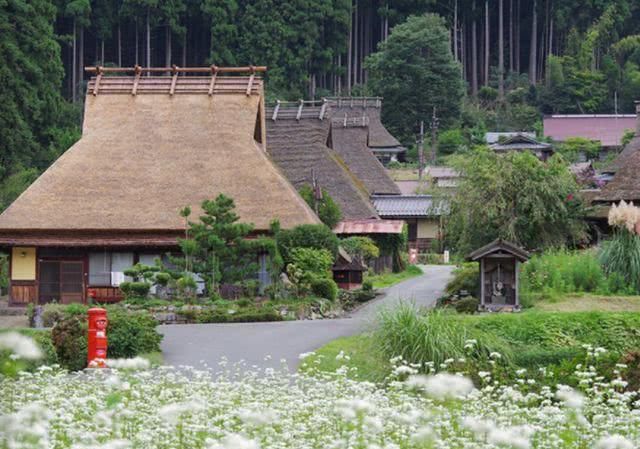 人口大城市化的日本，农村啥样？