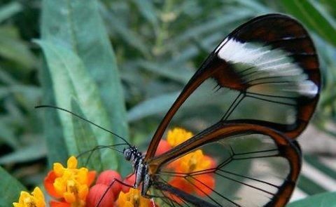 这八张照片非同一般,世界还有许多未知要我们一起探索