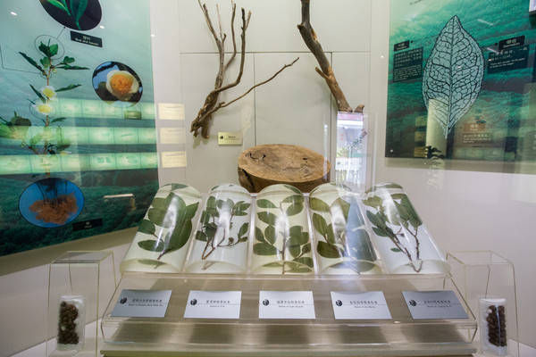 西湖最冷门的旅游路线，人少景美，一般人都不知道