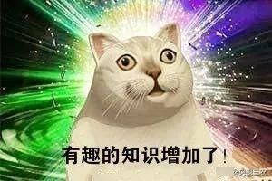  『金鱼』从前有一条鲫鱼，因为太好看，后来变成了金鱼！