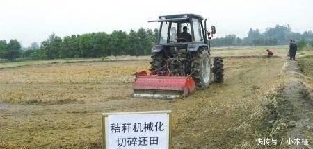 当初鼓励秸秆还田, 如今弊端显现, 农民质问专家: 损失谁来负责?