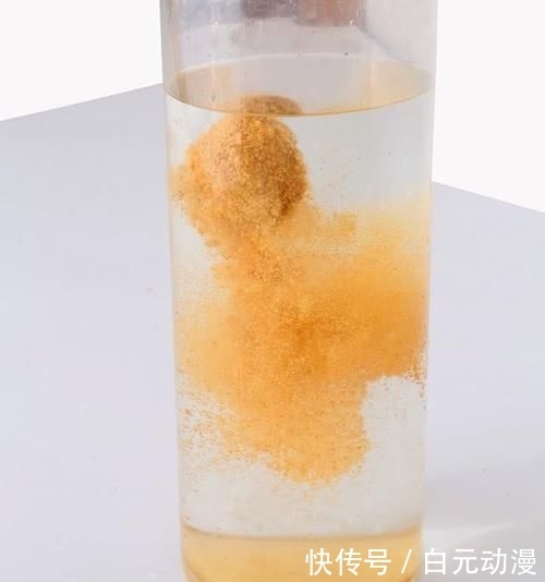 初春■相信我!初春野钓用这5招打窝,比别人提前半小时上鱼