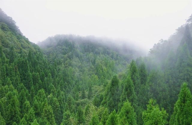 最美的不是下雨天，而是沿路看过的风景