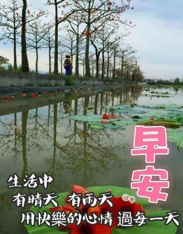  『时光』早安吉祥：时光很宝贵，愿你有诗、有梦、也有远方，早上好！