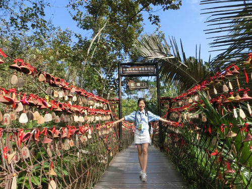 水清沙白的他乡——三亚。