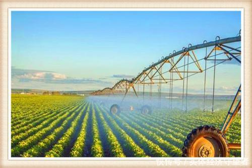  [赚钱]既高大上又赚钱的农村创业项目，这几个真的好，请收藏！