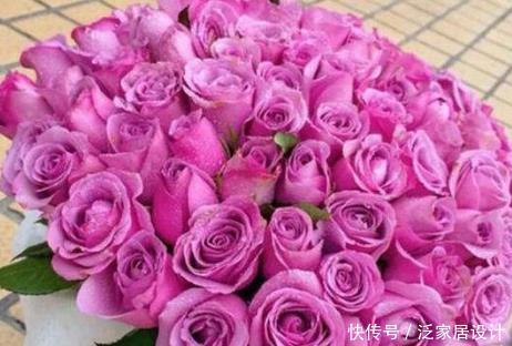 【养花】新手养花,不如养盆花中精品“冷美人”,花似海洋之歌,淡雅秀丽