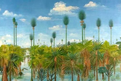  【秘密】植物叶子背后的一些奇特的小秘密！