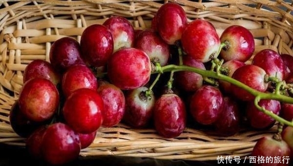 中国小伙去日本旅游,发现日本的葡萄论颗卖?网友:差距真大