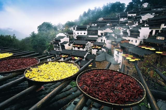 秋天的模样，篁岭都有了!不如趁着人少的初秋去看晒秋节