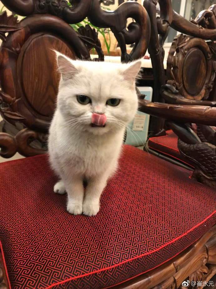 崔永元爆料导致多个影视股大跌:我不懂股票,不