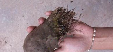  「民间」此物的价值别轻视，多年来在民间珍贵无比，真的好稀罕