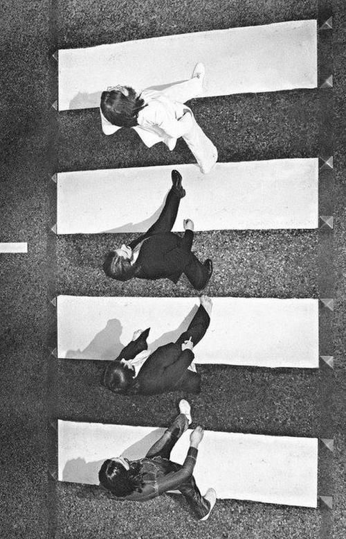 通过19个画面了解从不同角度所看到的世界