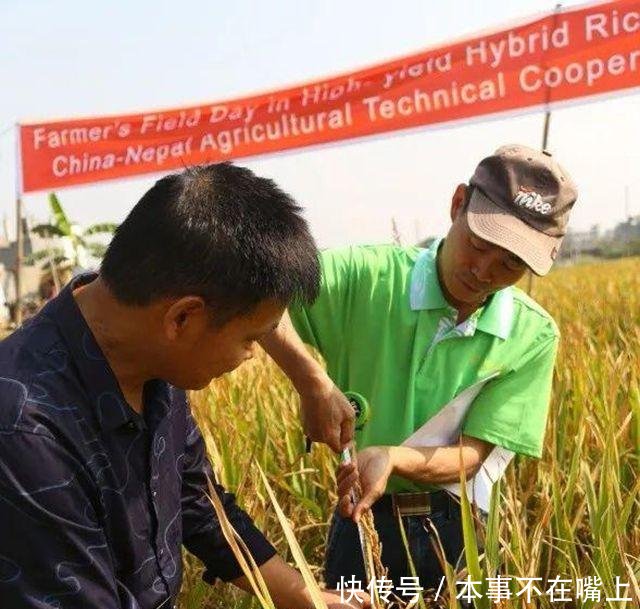 中国的杂交水稻，把尼泊尔的农民吓了一跳！