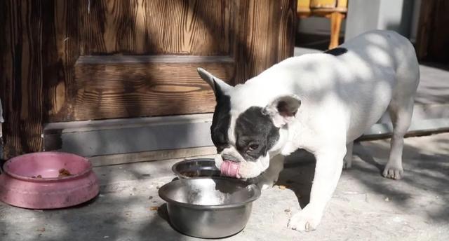 藏在北京小院里的悠闲小时光,生活原来可以这么惬意