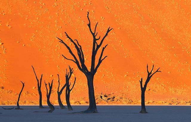 20张“不是PS,胜似PS”的真实照片!