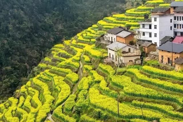 三月，去看中国最美春光