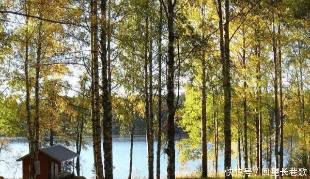 外国网友提问为何芬兰人看起来像中国人,国外