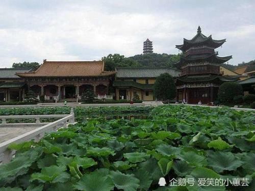 我国最纯粹的寺庙，投资了几十亿，门票烧香拜佛全免，但只禁止一