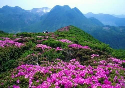 世界首条山区旅游高铁全线开通，春节假期就沿这条风光带旅行吧