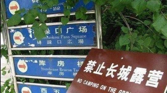 说中国游客没素质？那这些外国游客的行为，才是真丢人！