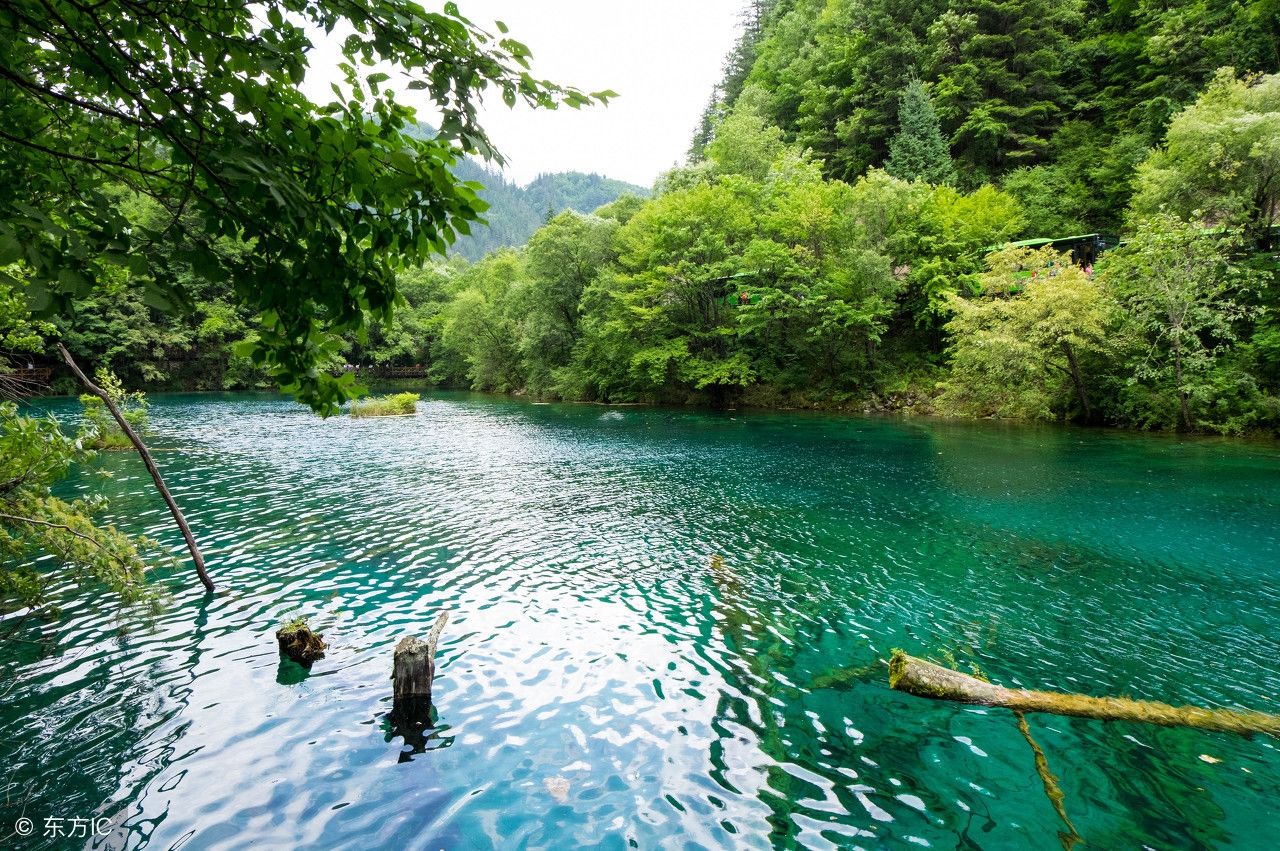 童话里的秋天，秋天里的九寨沟，诱人迷人醉人恋人的九寨沟