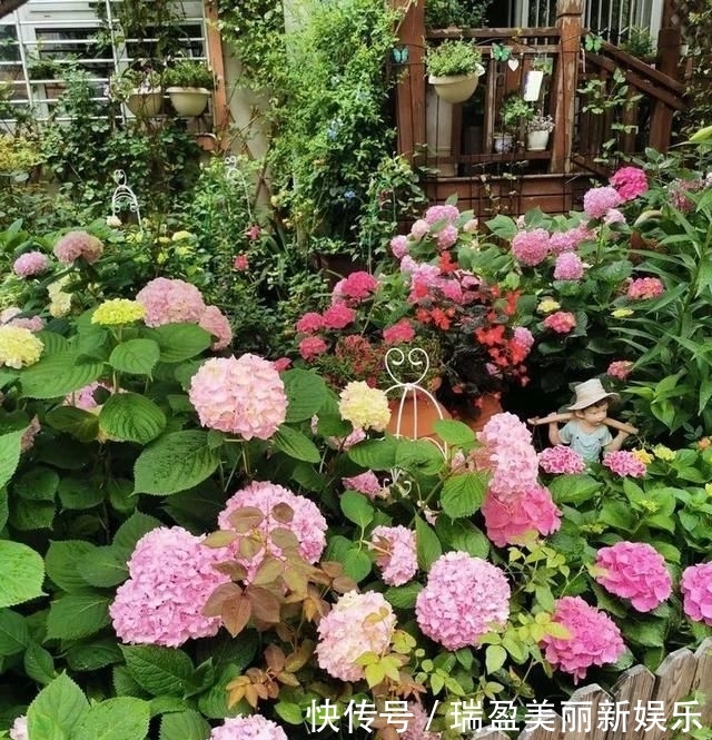 「平方」有了30平方的小院,能将日子过成了诗?简单而精致,优雅而从容!