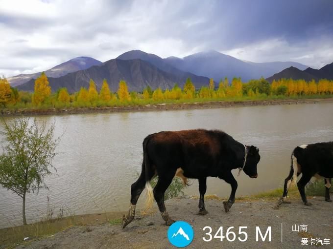 带着年迈父母去西藏，单车自驾奇骏，川进青出，13天7000公里~