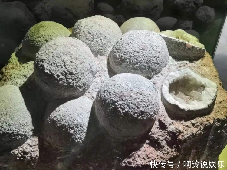 超震撼17000多枚恐龙蛋化石创下世界之最