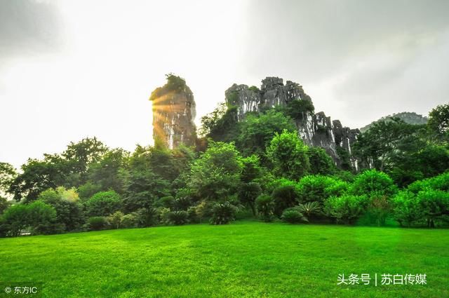 广西这个城市得名难道是因为植物？发现了世界最早的某植物花粉