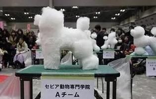  『汪星』最近兴起的奇怪潮流, 就是给汪星人剪方块头! 可剪完它不理我了