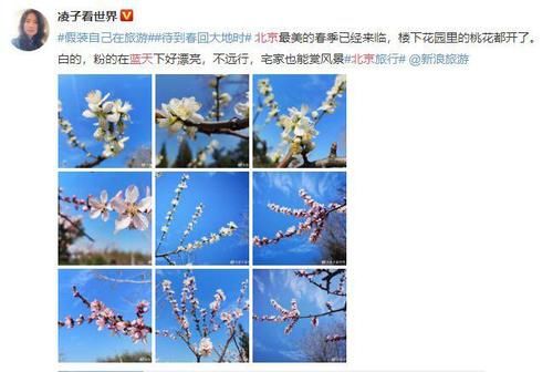  碳足迹■你该不会天真地以为，在家办公就能让天一直蓝下去吧？