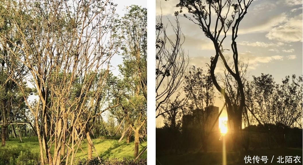 乱逛 | 沙河源公园,北门的又一个新新公园