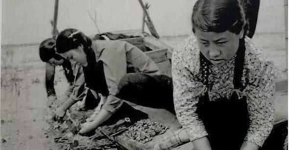 『图为』1953年中国百姓真实老照片