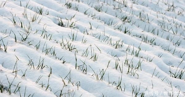  「智慧」俗语“二月没九，饿死猪狗”，古人智慧之言！今年二月