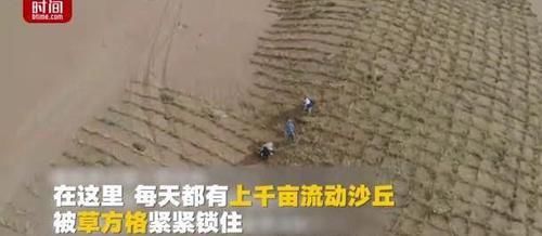  【标本】10秒钟就能种下一棵树 中国的治沙模式成世界标本