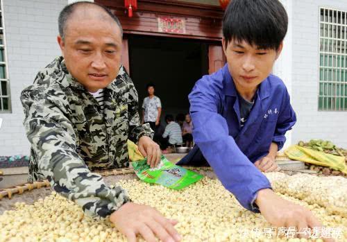  实则|农村3种小生意，看似很冷门，实则很赚钱，现在入行，能月