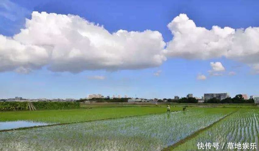  【补贴】有偿退出宅基地在农村推广，补贴加福利，农民又多一笔