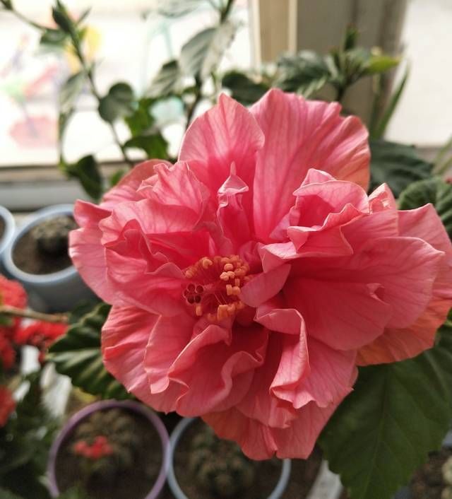  团粒结构■养花换下来的土可以循环使用吗换下来的土怎样进行土壤修复