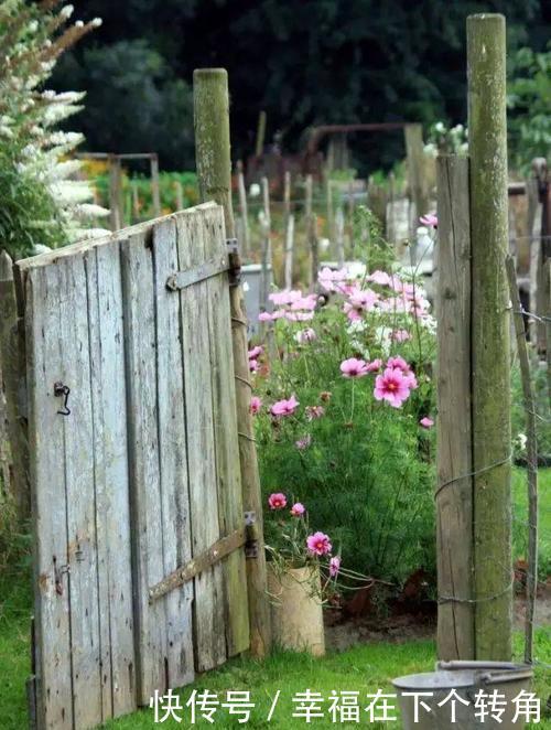  「快乐」篱笆小院住在乡村的快乐，你想体验吗！