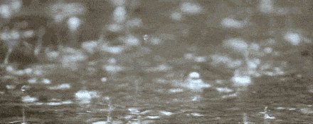 继续发布暴雨蓝色预警！大雨＋暴雨＋大暴雨！局地暴雨或大暴雨！