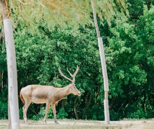 中国唯一没有山的地级市,最高海拔仅7米,却是长三角重要中心城