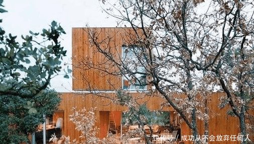“宅处两树中, 家败损人丁”这句乡下老话是啥意思 有道理吗