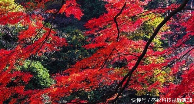 秋天，哪里在你的心里最美丨北京的这个地方，来过的人都喜欢