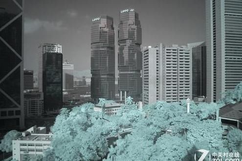 真的能透视?红外滤镜能拍摄什么效果