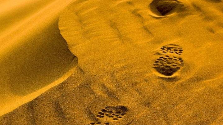 中国花费30年沙漠“变”绿洲，如今被他们“毁了”，治沙人心寒