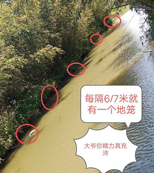 「钓鱼」生活要充满幸福感,钓鱼也要钓出仪式感