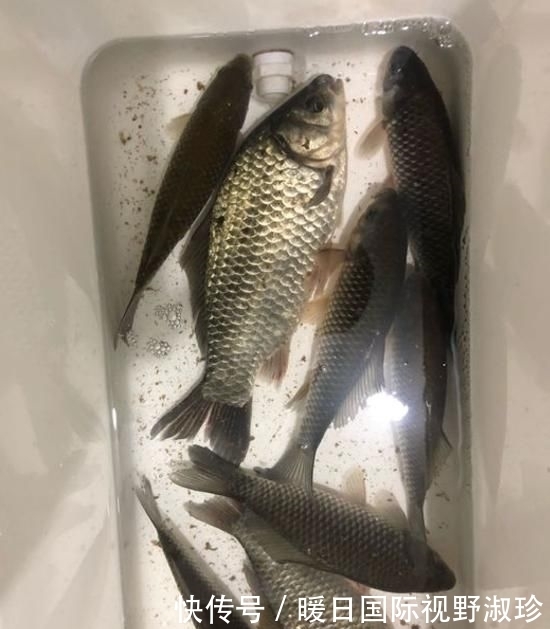 浪费时间:阴雨天鱼口会更好?不懂分辨真正好天气,出门钓鱼等于浪费时间